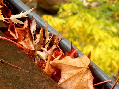Fall Gutter Cover Installation